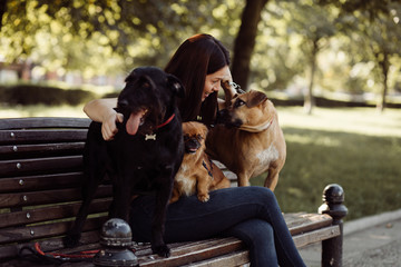 How To Find Trustworthy Pet Sitters